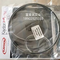 KAYDON薄壁軸承